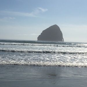 Meet your Posher, Irene